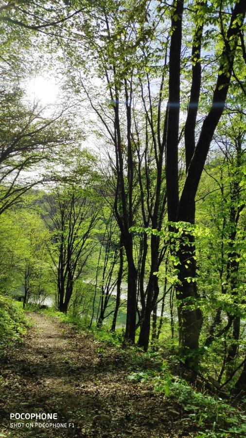 Smaragd River Near Rastoke & Plitvice Lakes Slunj Zewnętrze zdjęcie